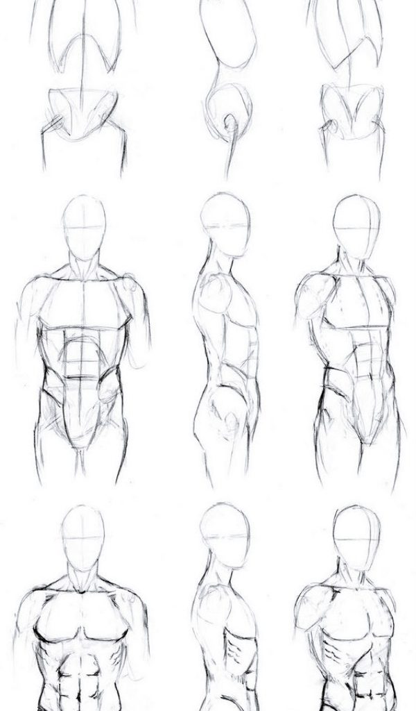 Body Shapes Drawing Art