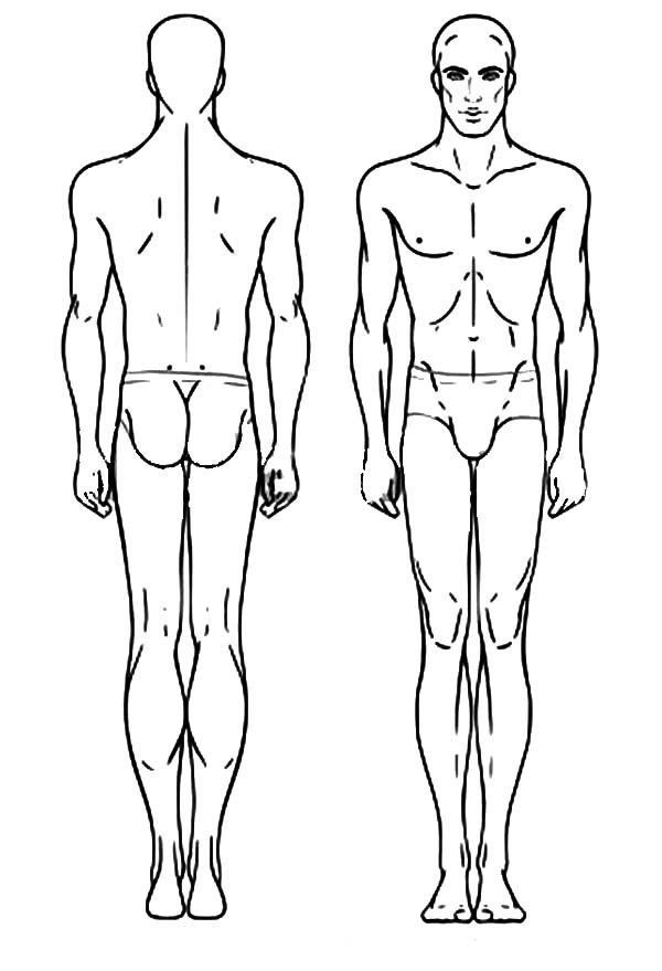 Body Template Drawing High-Quality