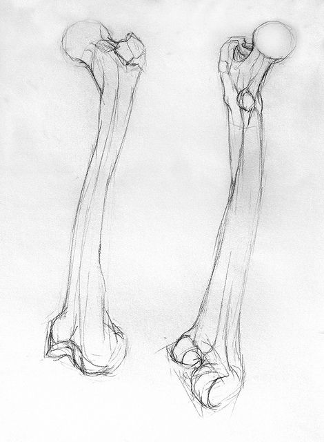Bone Art Drawing