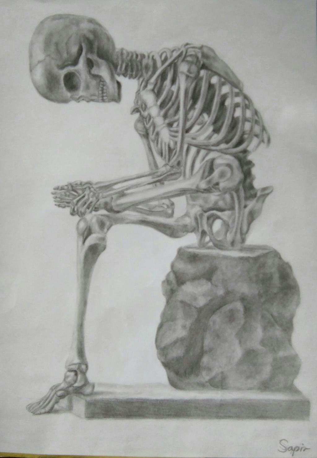 Bone Drawing Sketch