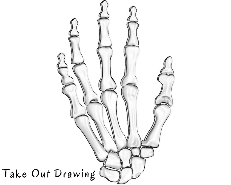 Bone Hand Art Drawing