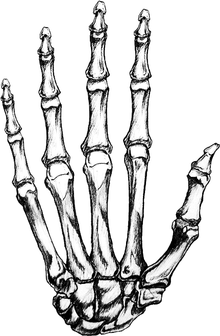 Bone Hand Best Drawing