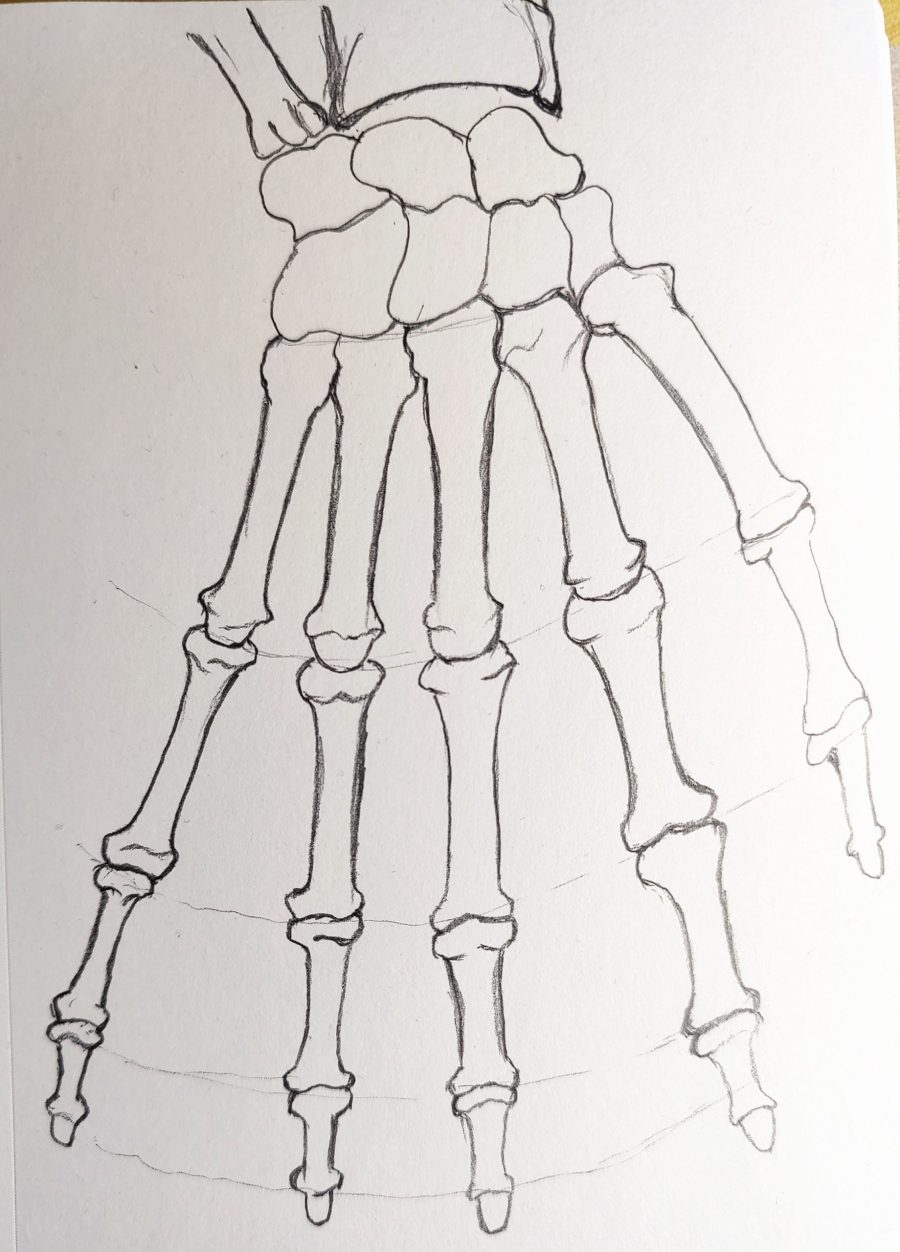 Bone Hand Drawing Art