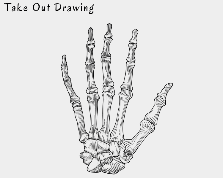 Bone Hand Drawing Beautiful Art