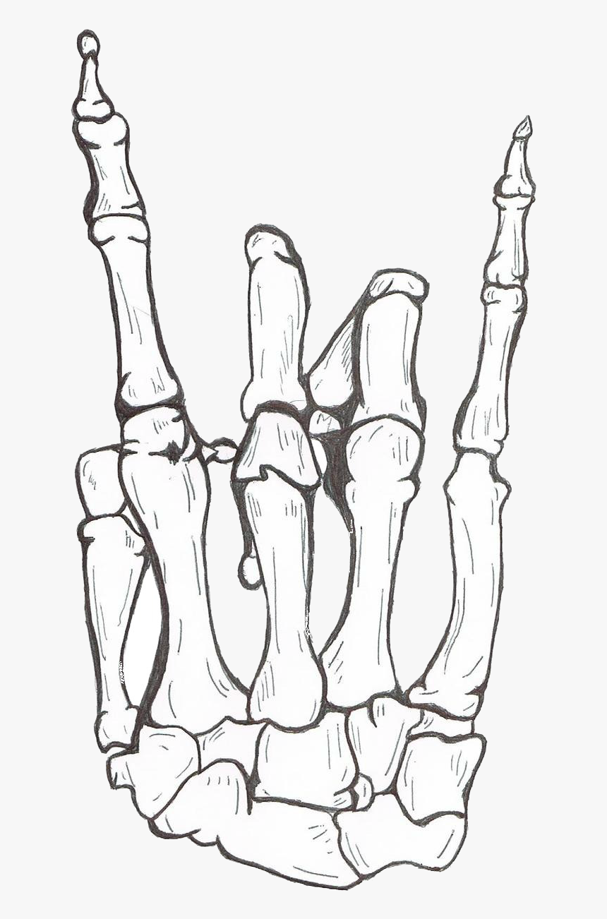 Bone Hand Drawing Creative Art