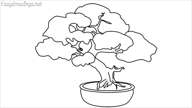 Bonsai Tree Best Drawing