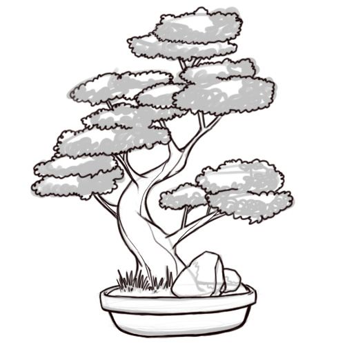 Bonsai Tree Drawing Amazing