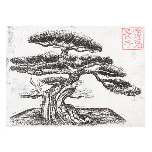 Bonsai Tree Drawing Art