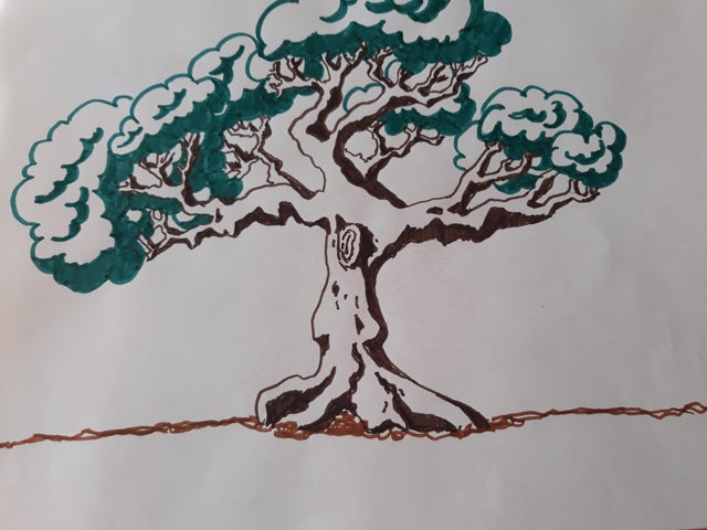 Bonsai Tree Drawing Beautiful Image