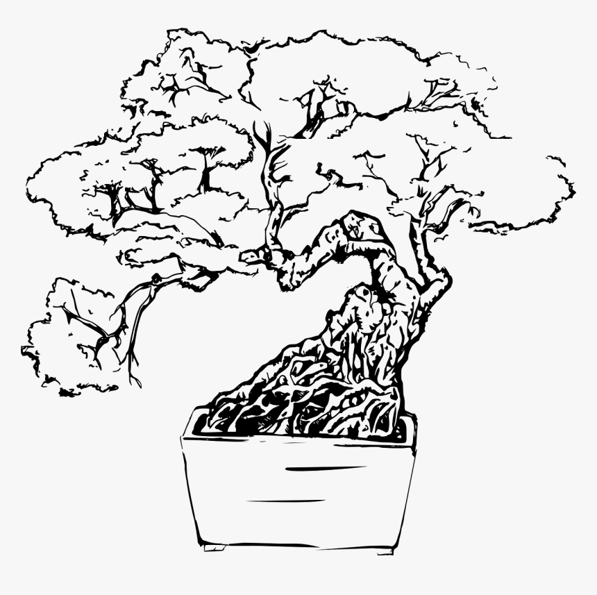 Bonsai Tree Drawing Creative Art