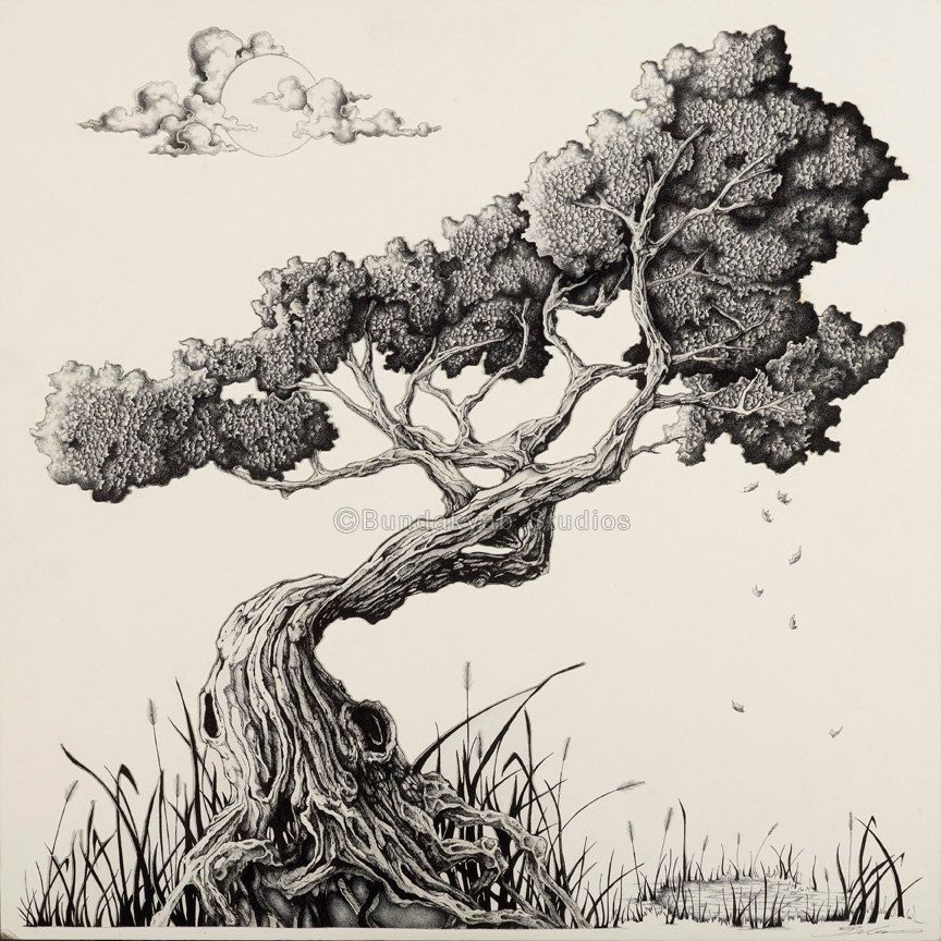 Bonsai Tree Drawing Image