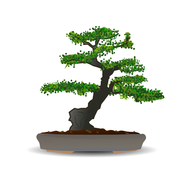 Bonsai Tree Drawing Images