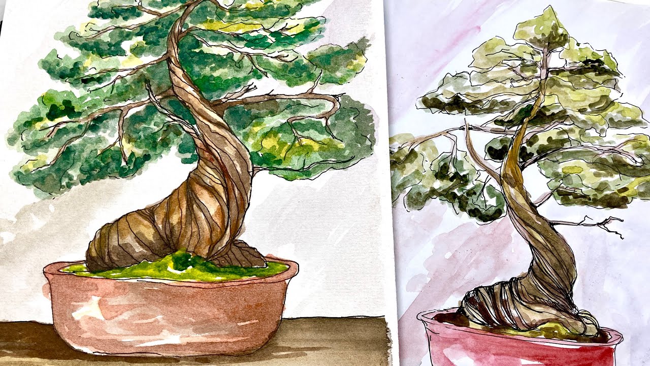 Bonsai Tree Drawing Pic