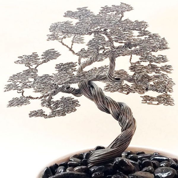 Bonsai Tree Drawing Picture