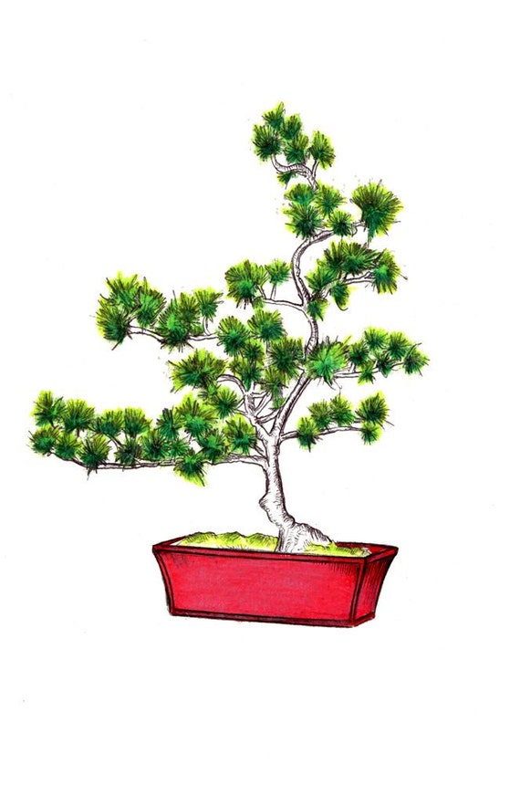 Bonsai Tree Drawing Realistic