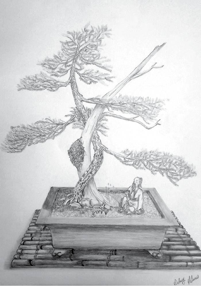 Bonsai Tree Drawing Sketch