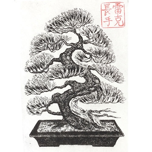 Bonsai Tree Drawing