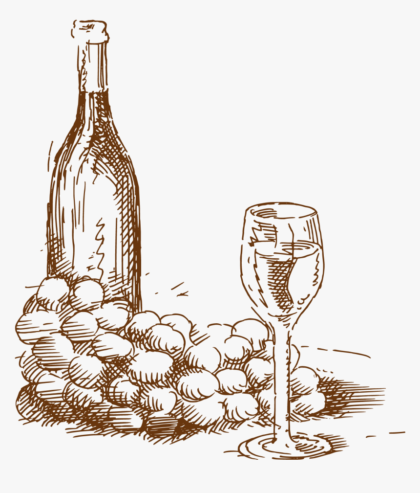 Bottle Wine Drawing