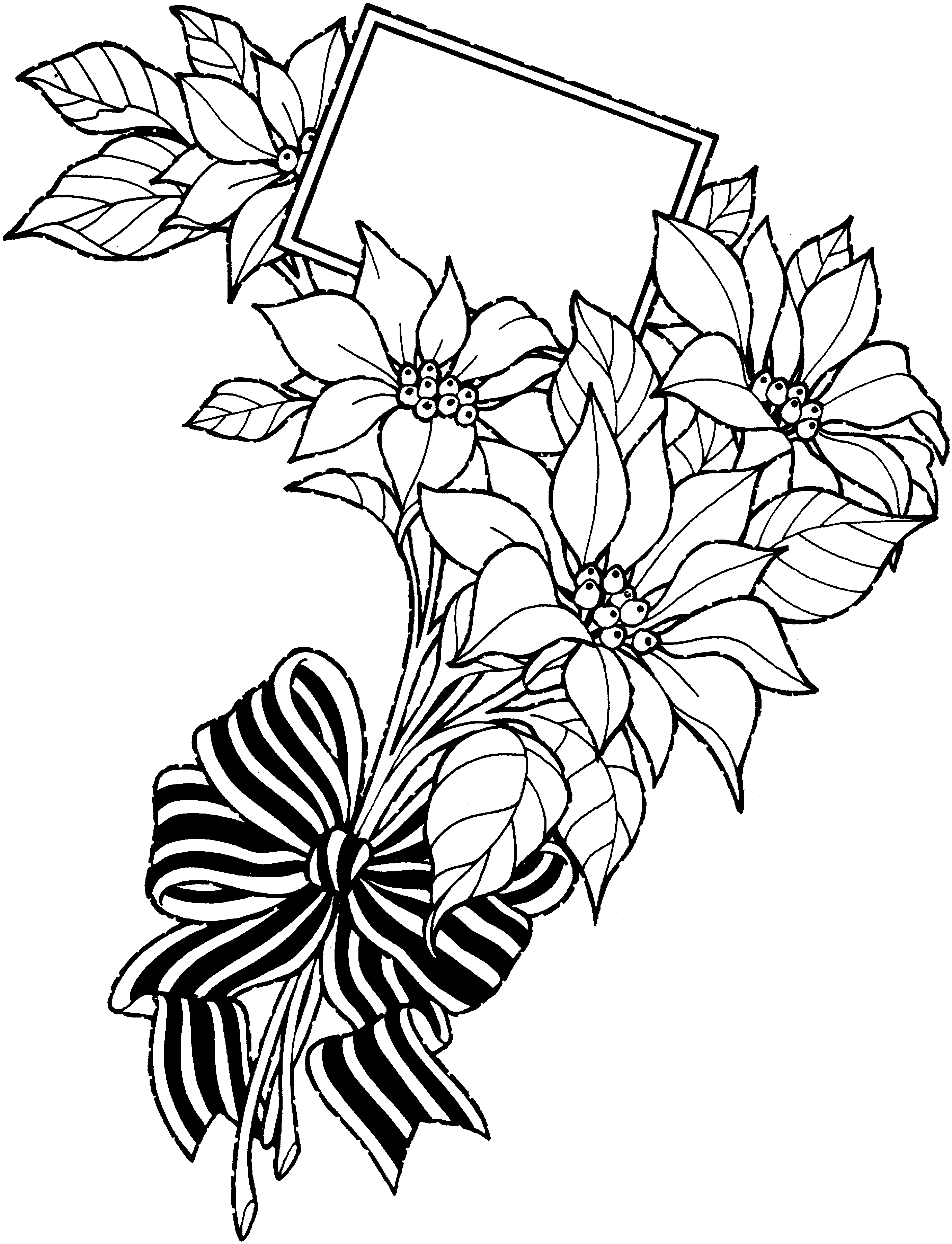 Bouquet Flower Drawing Pics