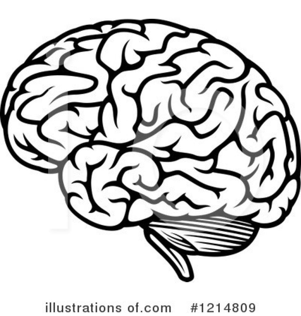 Brain Simple Drawing Beautiful Art