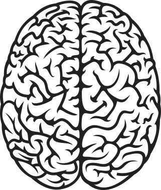 Brain Simple Drawing Images