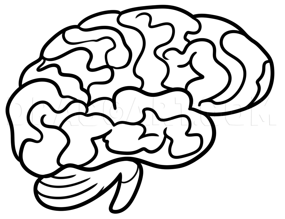 Brain Simple Drawing Pics