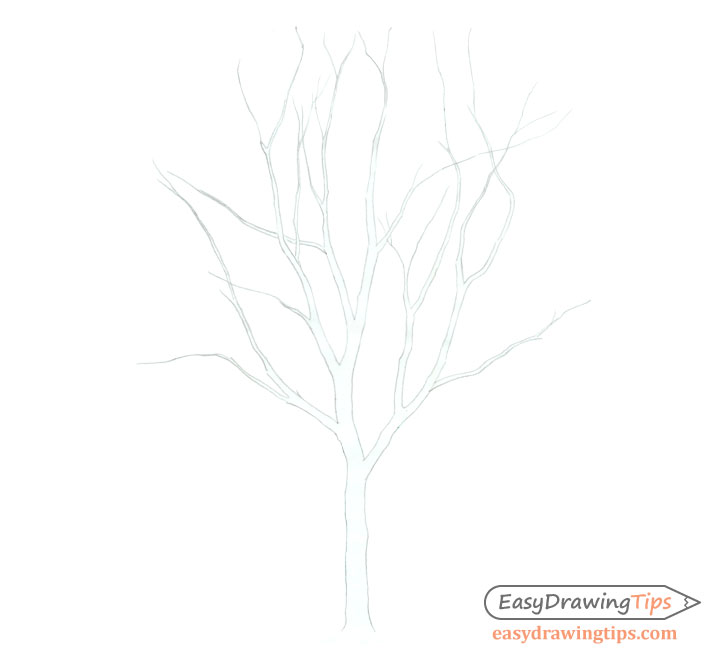 Branches Drawing High-Quality