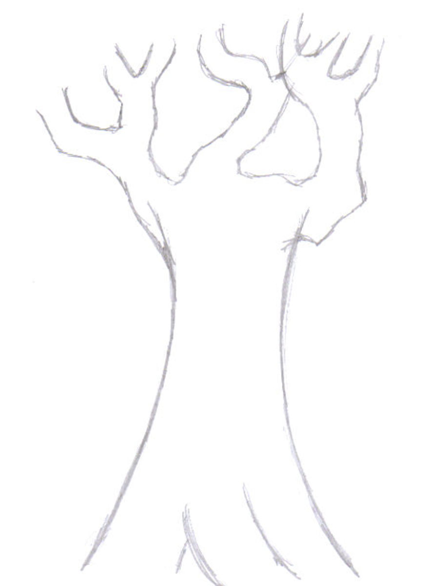 Branches Drawing Photo