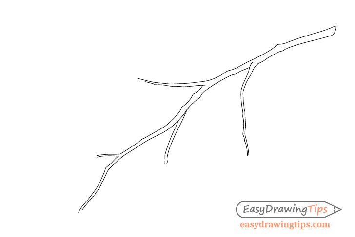 Branches Drawing Pic