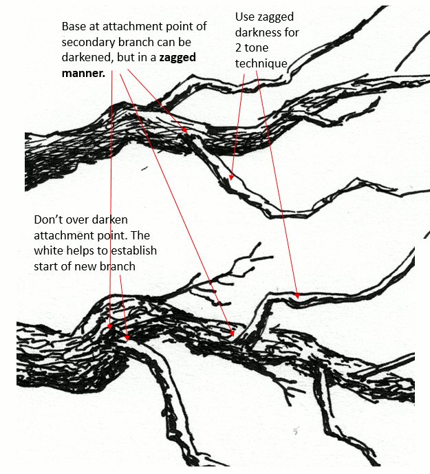 Branches Drawing Realistic