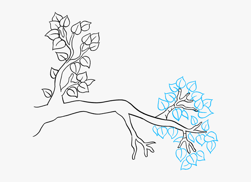 Branches Drawing Sketch