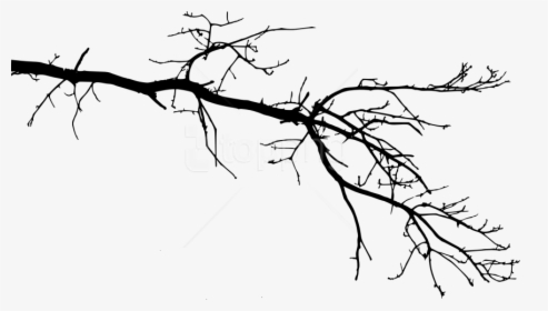 Branches Drawing
