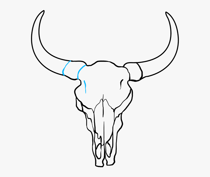 Buffalo Drawing Photos