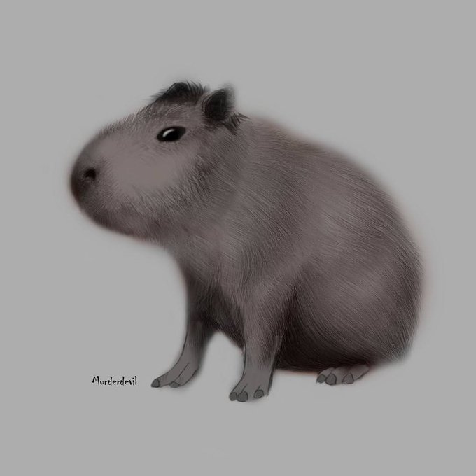 Capybara Best Drawing