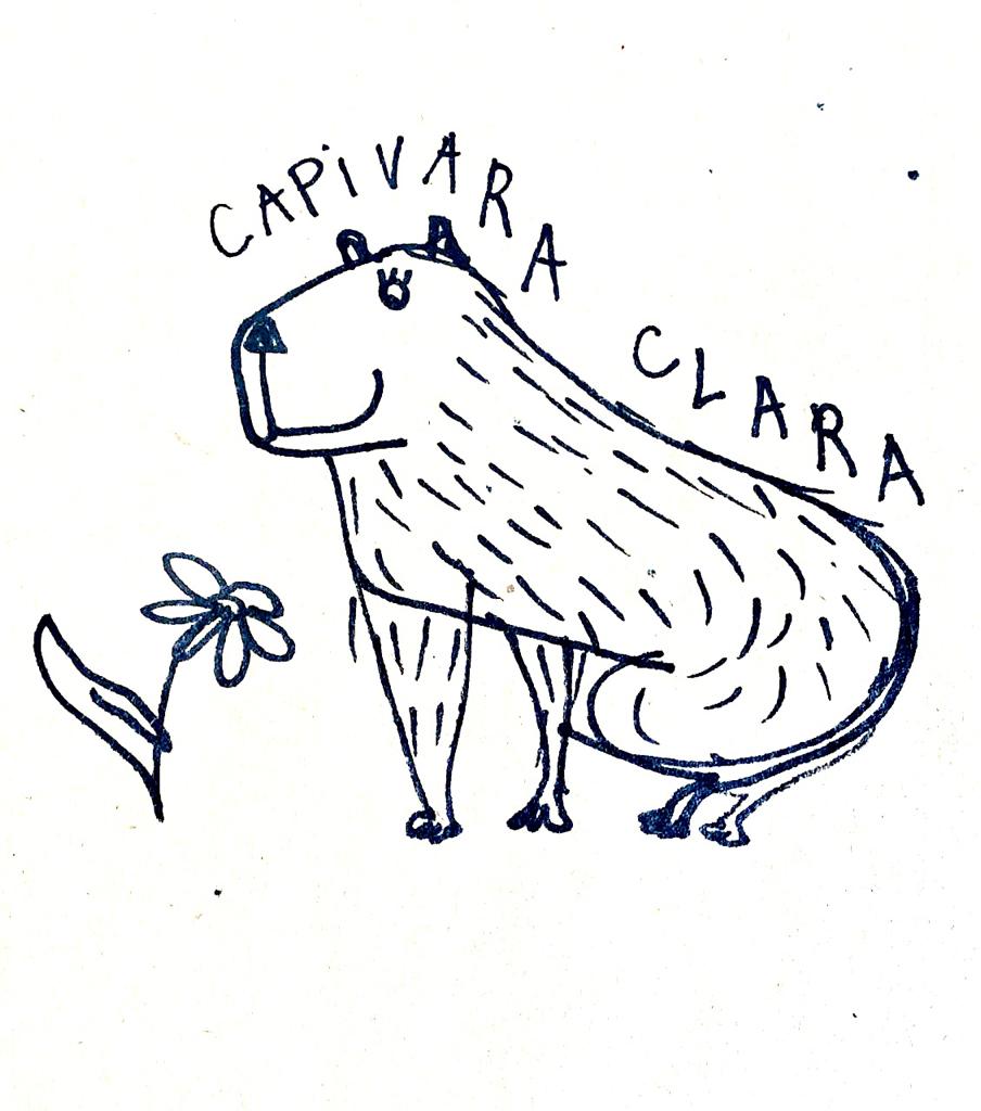 Capybara Drawing Art