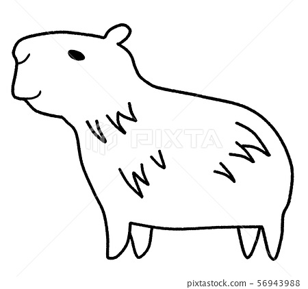 Capybara Drawing Pic