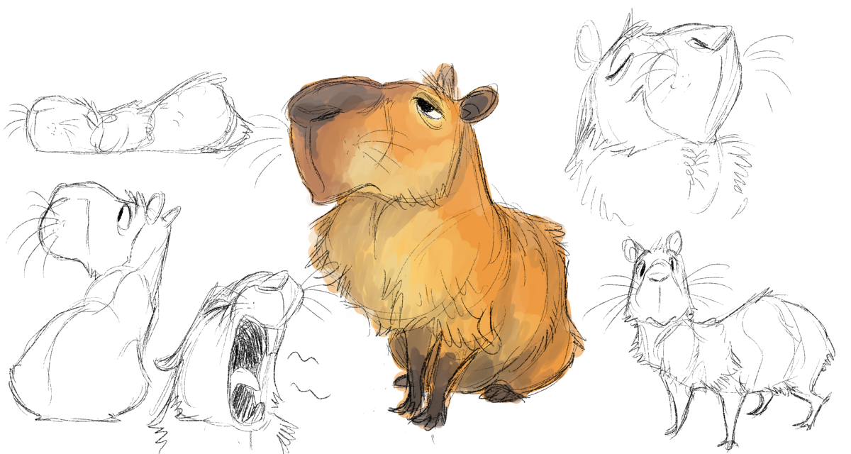 Capybara Drawing