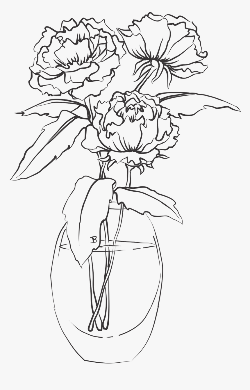 Carnation Flower Drawing Pics