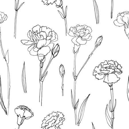 Carnation Flower Drawing Sketch
