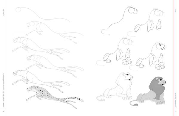 Cartoon Animals Drawing Images
