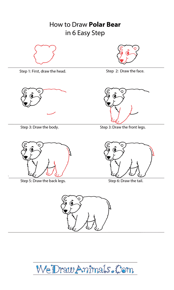Cartoon Bear Drawing Pic