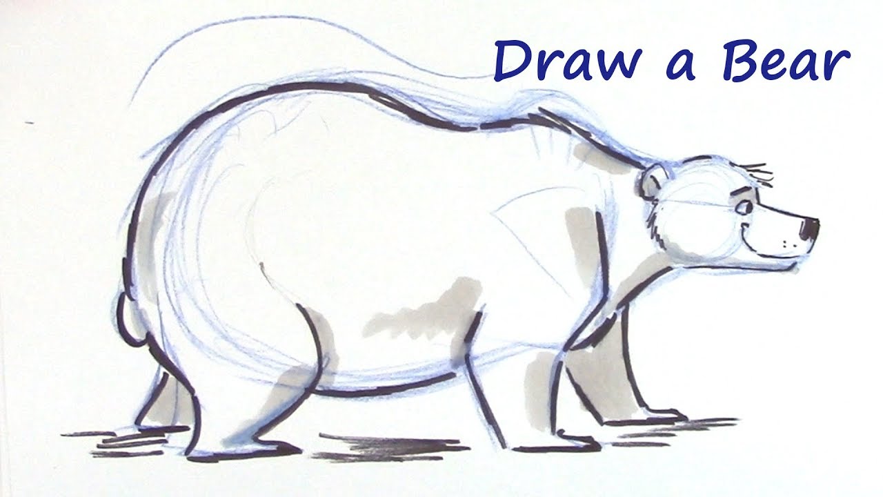 Cartoon Bear Drawing Realistic