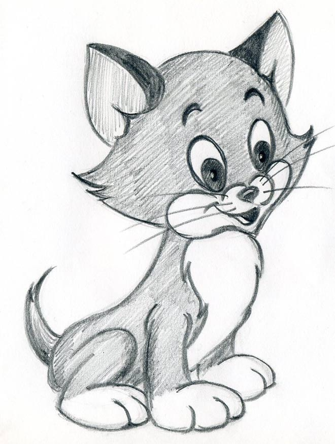 Cartoon Cat Drawing Realistic