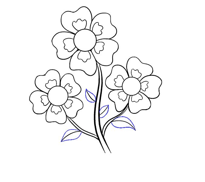 Cartoon Flower Drawing Pic