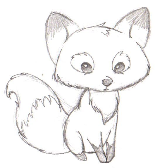 Cartoon Fox Drawing Art