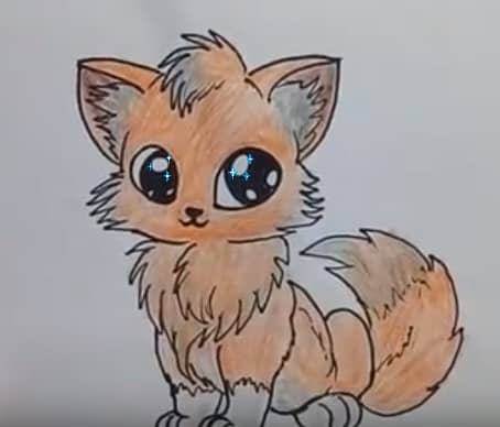 Cartoon Fox Drawing Pic