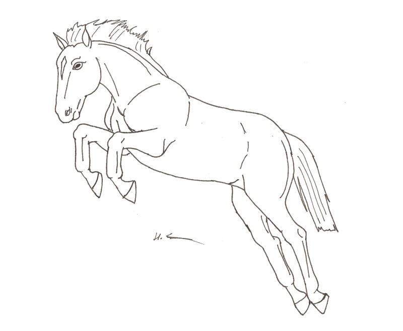 Cartoon Horse Drawing Beautiful Image
