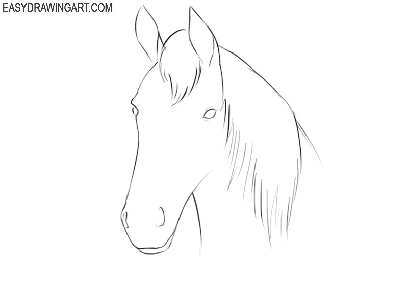 Cartoon Horse Drawing Image