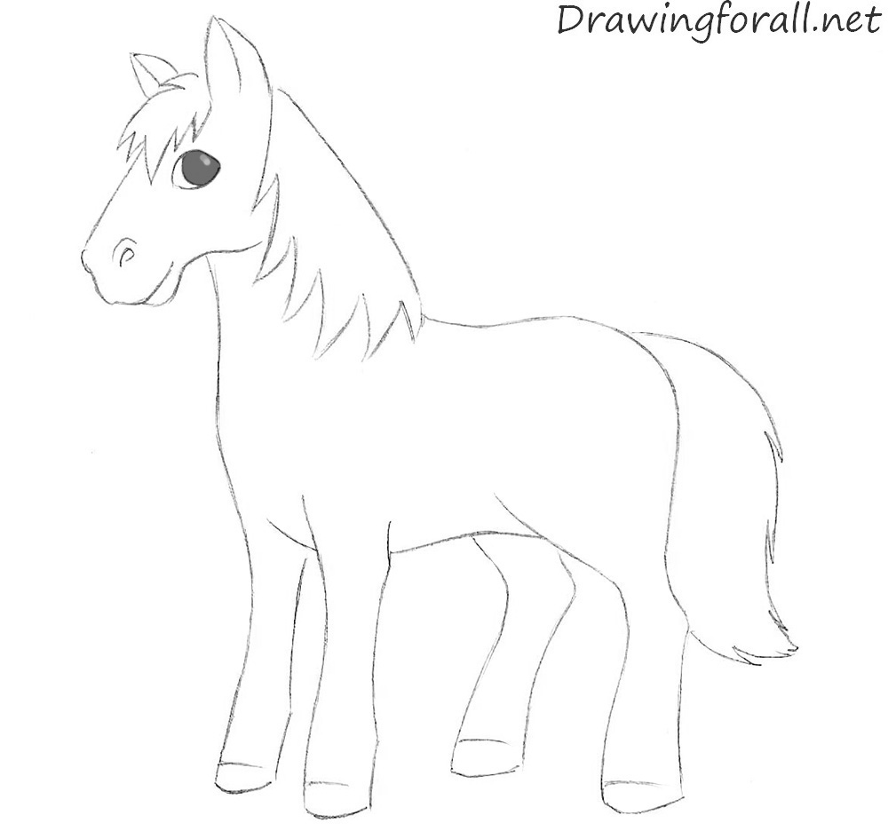 Cartoon Horse Drawing Pic