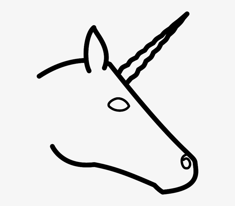 Cartoon Horse Drawing Pics